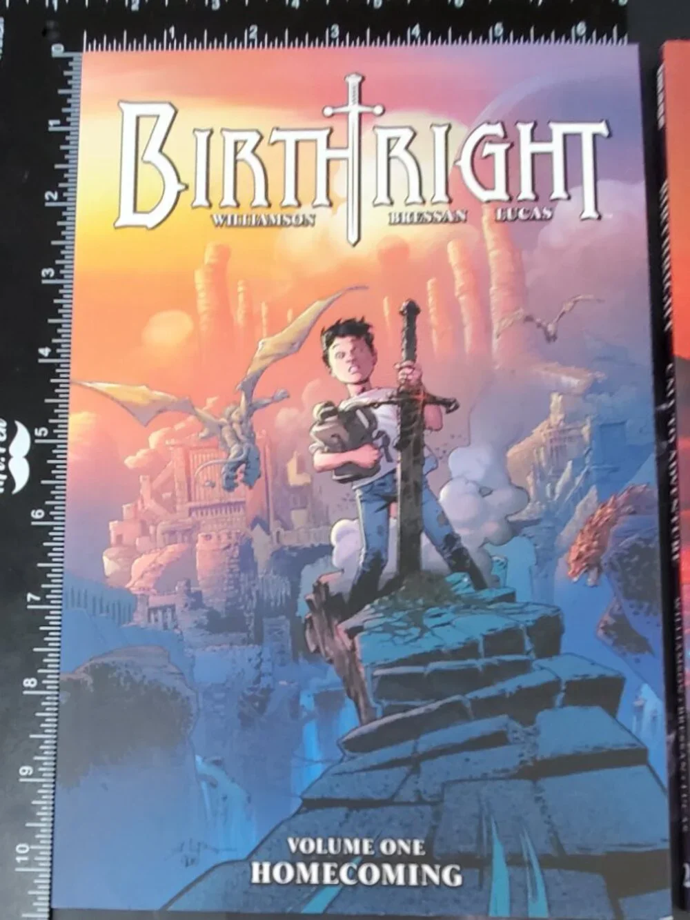 Birthright Graphic Novel Comic Lot Volumes 1 &  2 Homecoming Call to Adventure